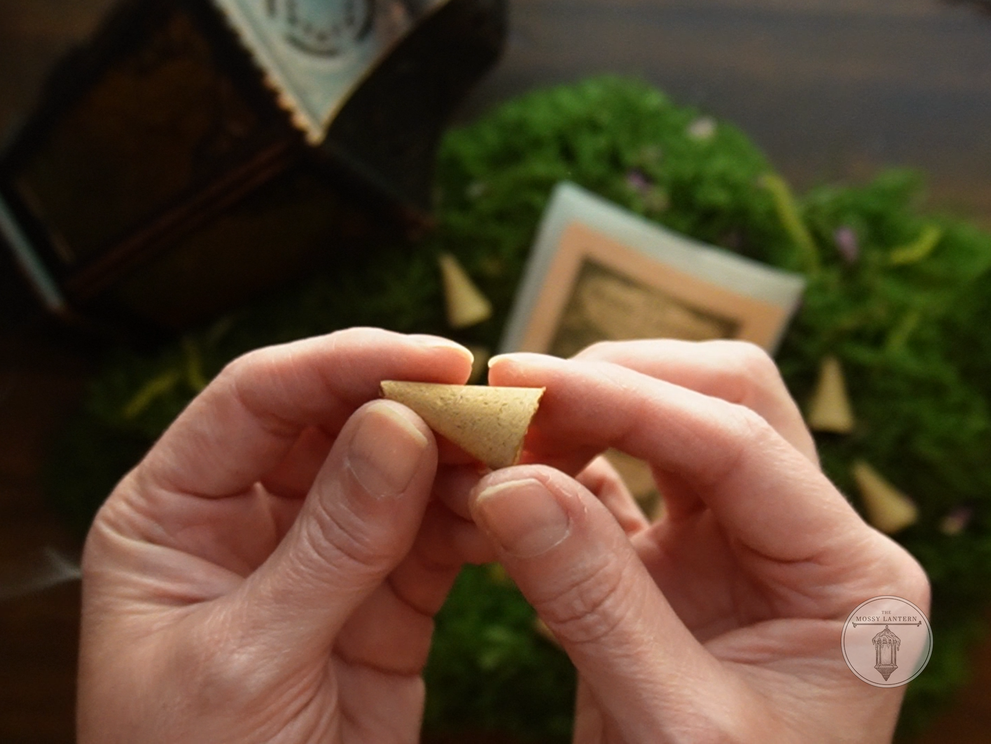 The Mossy Lantern (Cedarwood + Cinnamon + Orange) Natural Incense Cones