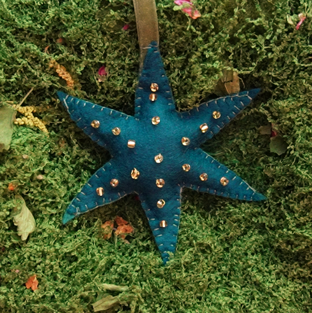 Guiding Star: Evergreen - Wool Felt Embroidery Ornament Kit - DIY Star Ornament