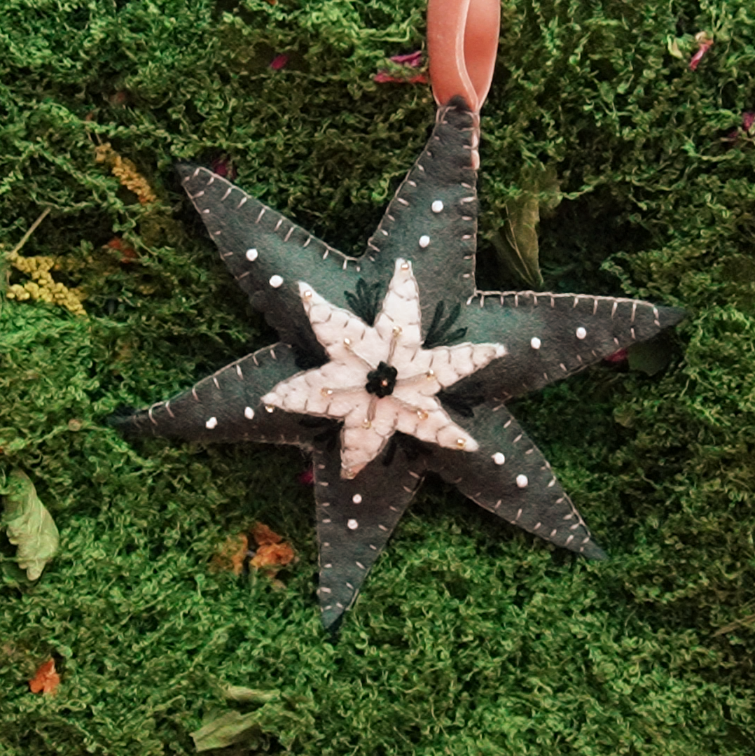 Guiding Star: Stone - Wool Felt Embroidery Ornament Kit - DIY Star Ornament