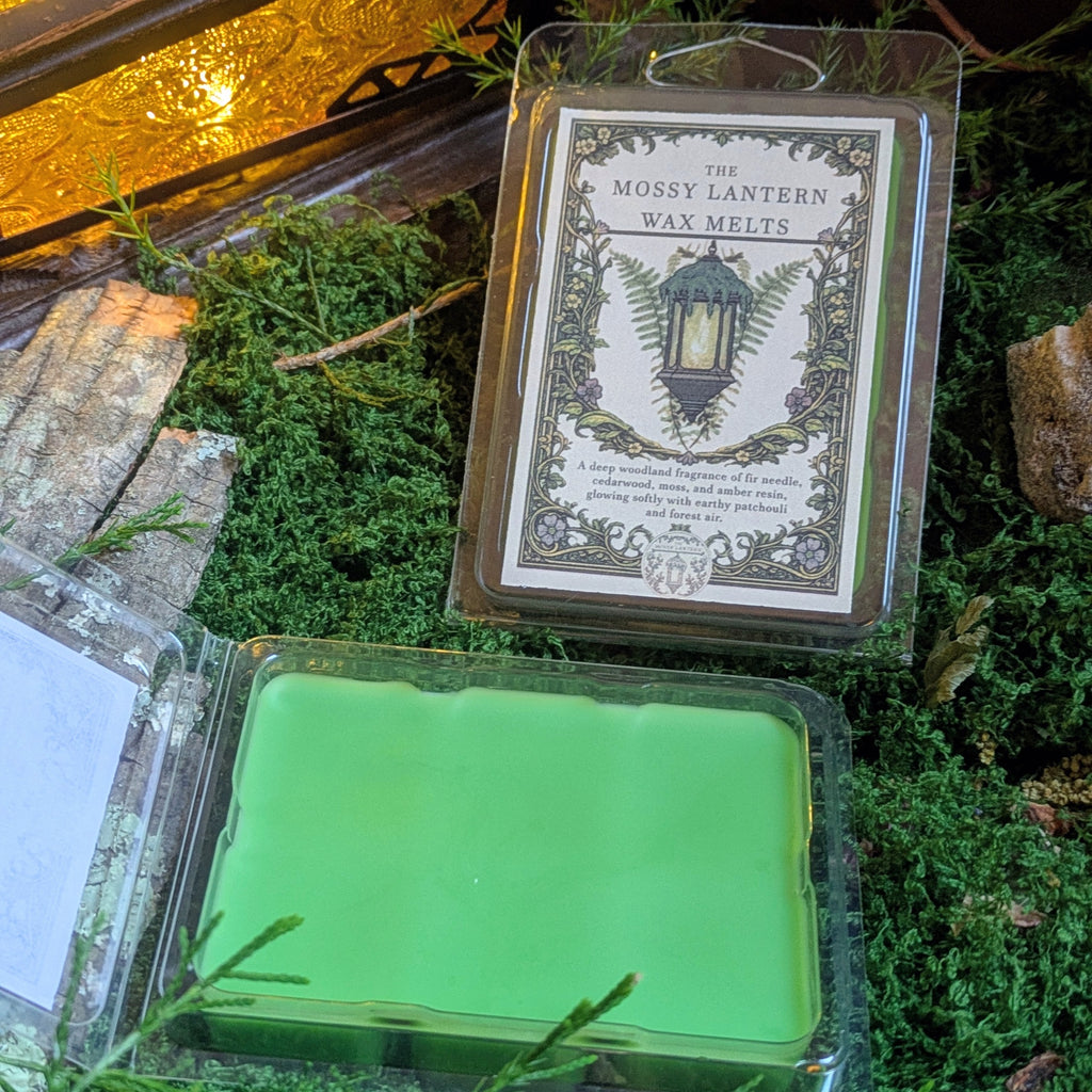 The Mossy Lantern (Moss + Cypress+ Amber) Wax Melts