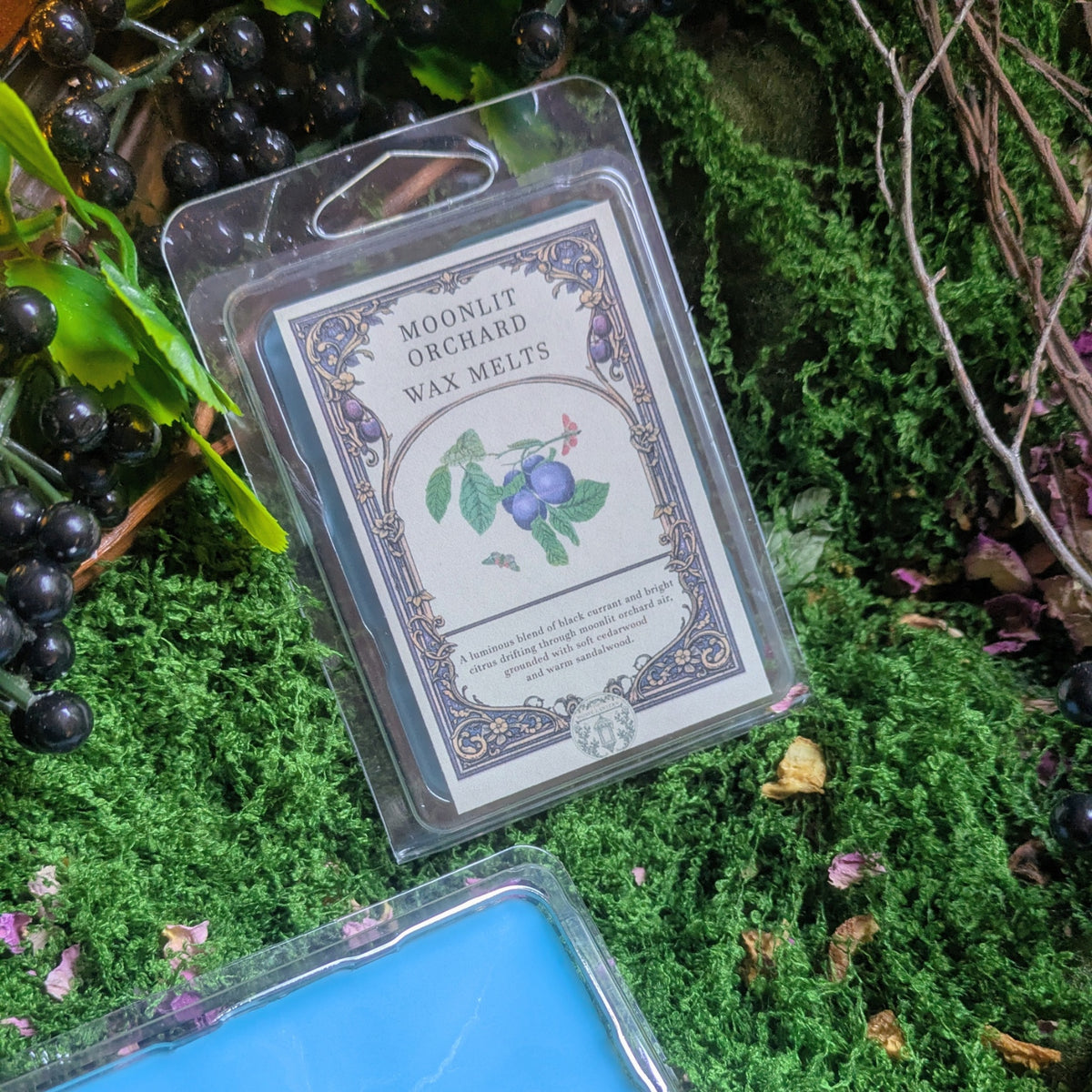 Moonlit Orchard (Bergamot + Black Currant + Bright Citrus) Wax Melts