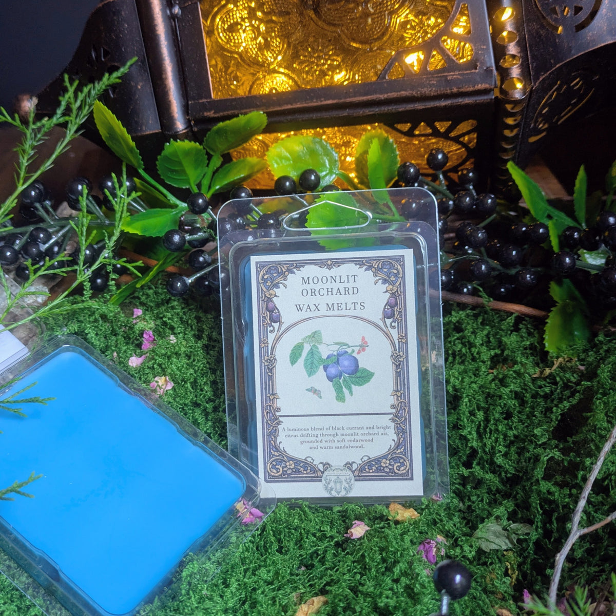 Moonlit Orchard (Bergamot + Black Currant + Bright Citrus) Wax Melts