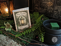 The Mossy Lantern (Moss + Cypress+ Amber) Wax Melts